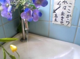 �o�Ȃ��͂��̐�