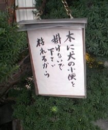 �؂��͂ꂽ���R�������