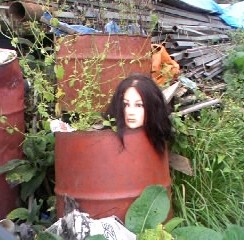 ��������